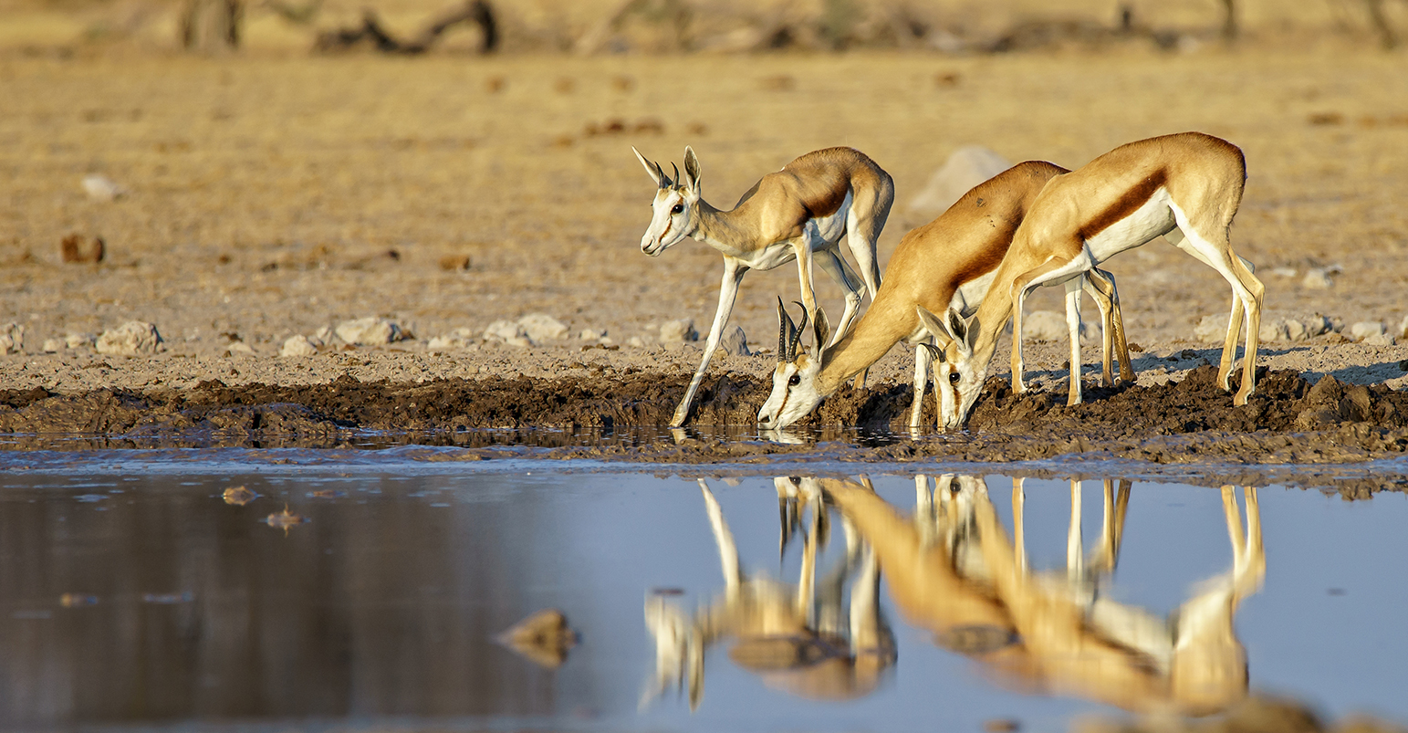 queen elizabeth national park