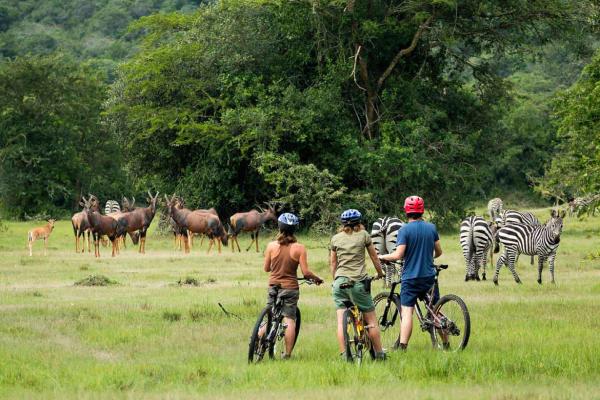 Lake Mburo National Park