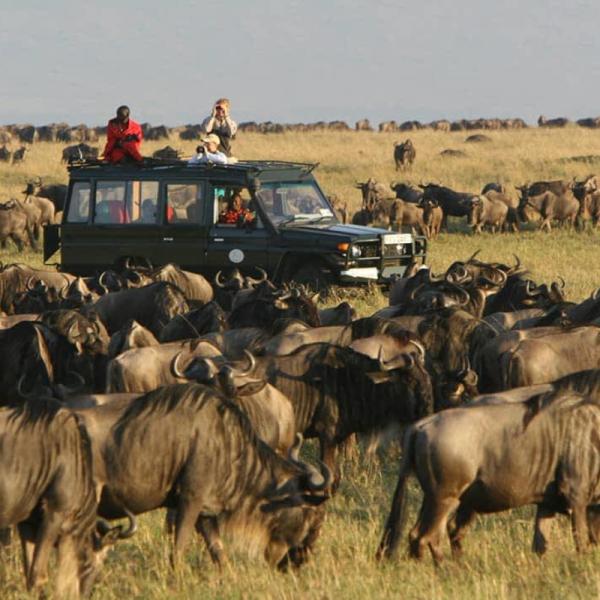 Maasai Mara National Reserve